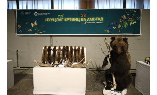 "Нууцлаг ертөнц ба амьтад” үзэсгэлэн нээгдэв