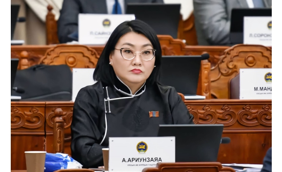 А.Ариунзаяа: Алтан гахай жилтнүүд 20 нас хүрснээр, төрөх насны эмэгтэйчүүдийн тоо эрс нэмэгдэнэ